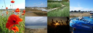 Les photos de l'Ile Grande Le rire de l'arc-en-ciel