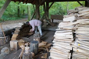 Guédelon - Bois 2