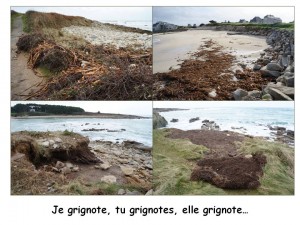 Je grignote, tu grignotes, elle grignote...