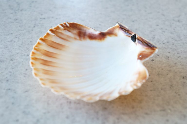 Décoration d’une coquille Saint Jacques pour l’anniversaire de Hanane