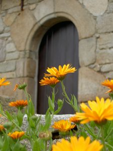 Ile Grande - Porte fleurie