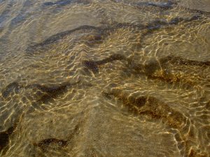 Reflets dans l'eau