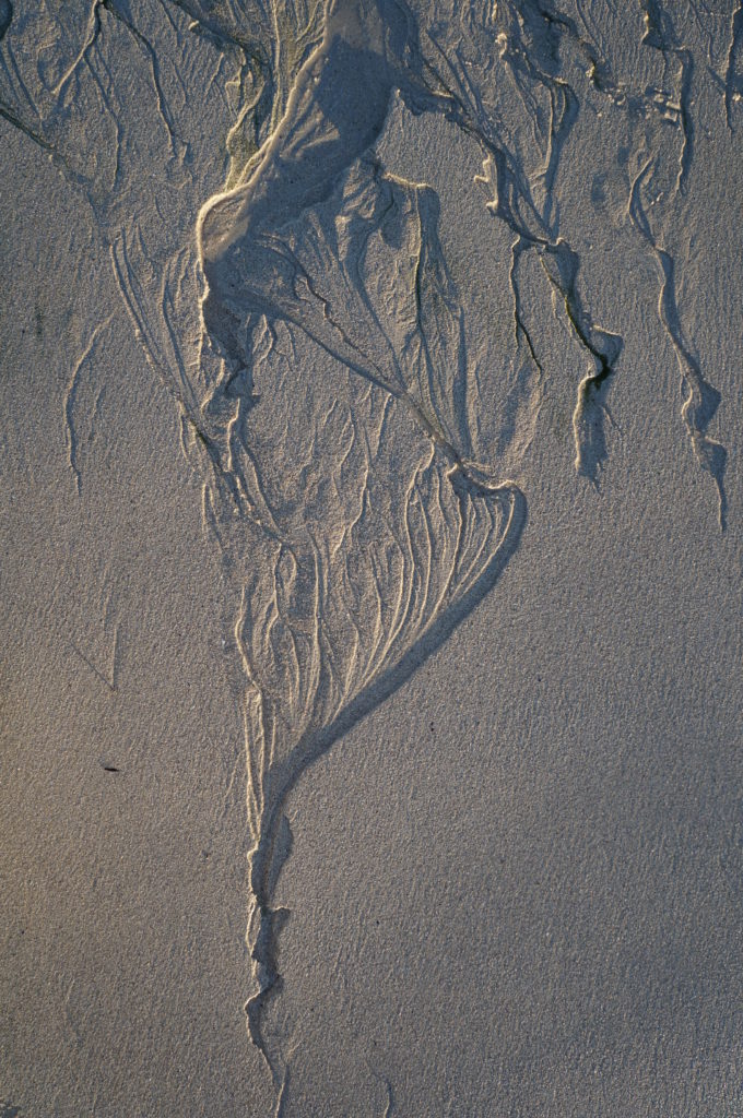 Dessin de la mer qui se retire sur le sable