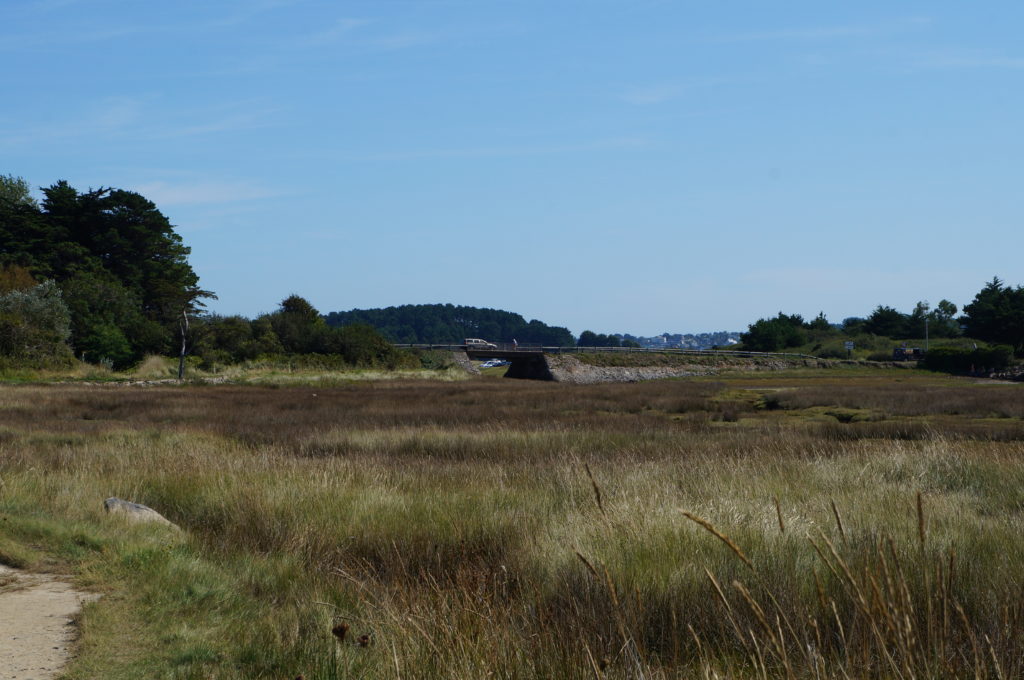 Le pont de l'Île Grande et le marais