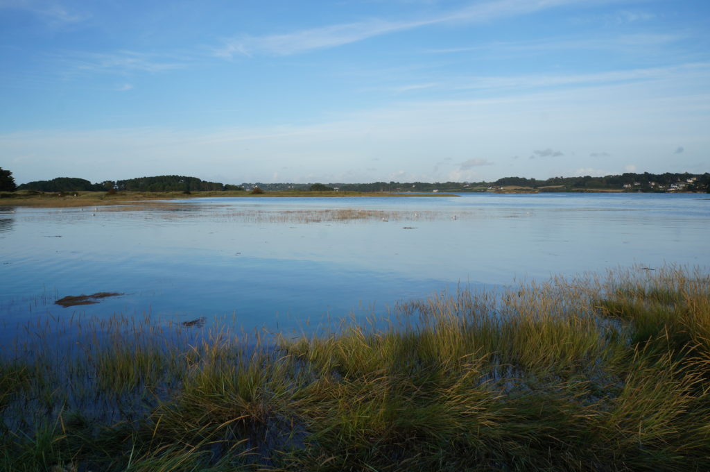 Paysage de l'Île Grande